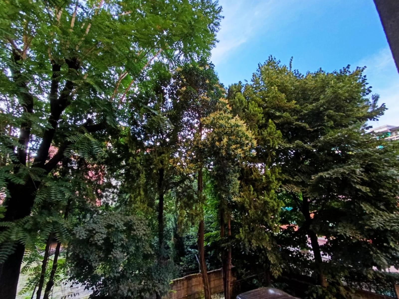 La Terrazza De Medici